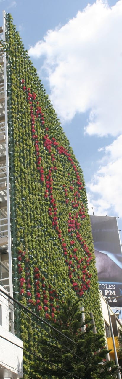 Muro verde de gran altura con patrón de floración roja sobre follaje